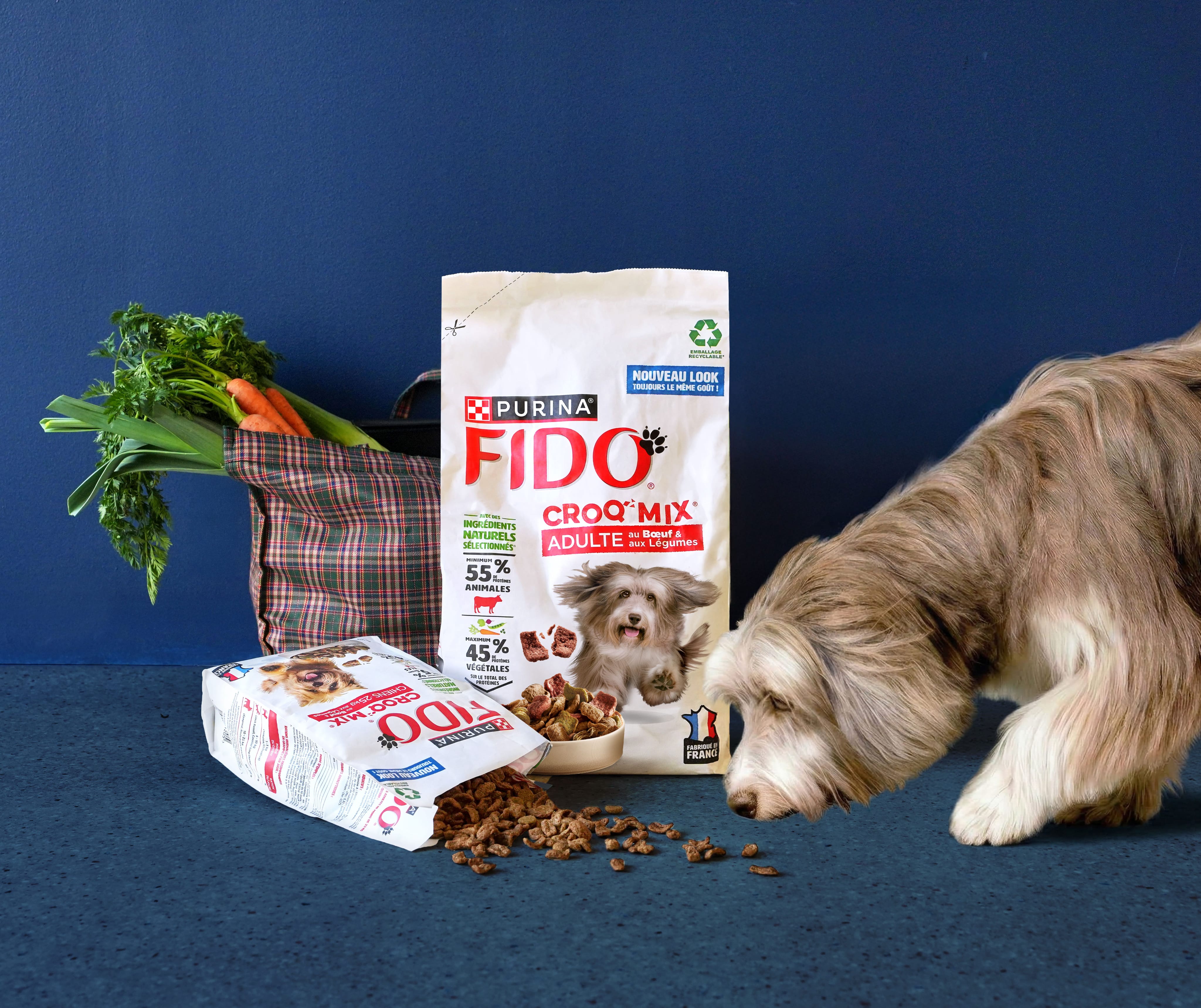 Visuel FIDO lifestyle